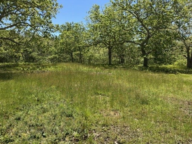 45 Quenames Road Chilmark, MA 02535 - Photo 13 of 13 a view of lake view