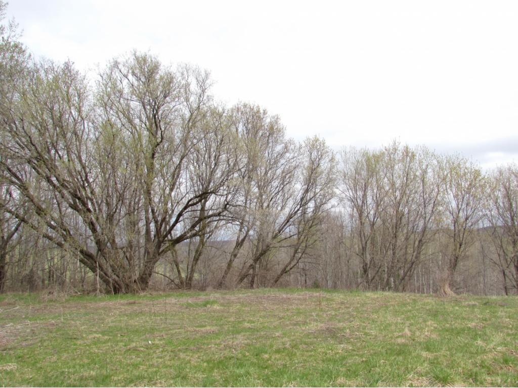 5143 Highway 79 Port Crane, NY 13833 - Photo 3 of 5 Gallery Image 3