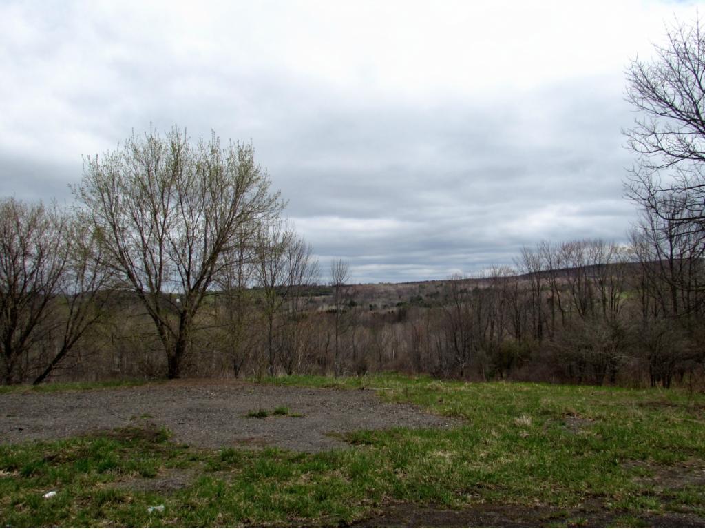 5143 Highway 79 Port Crane, NY 13833 - Photo 4 of 5 Gallery Image 4
