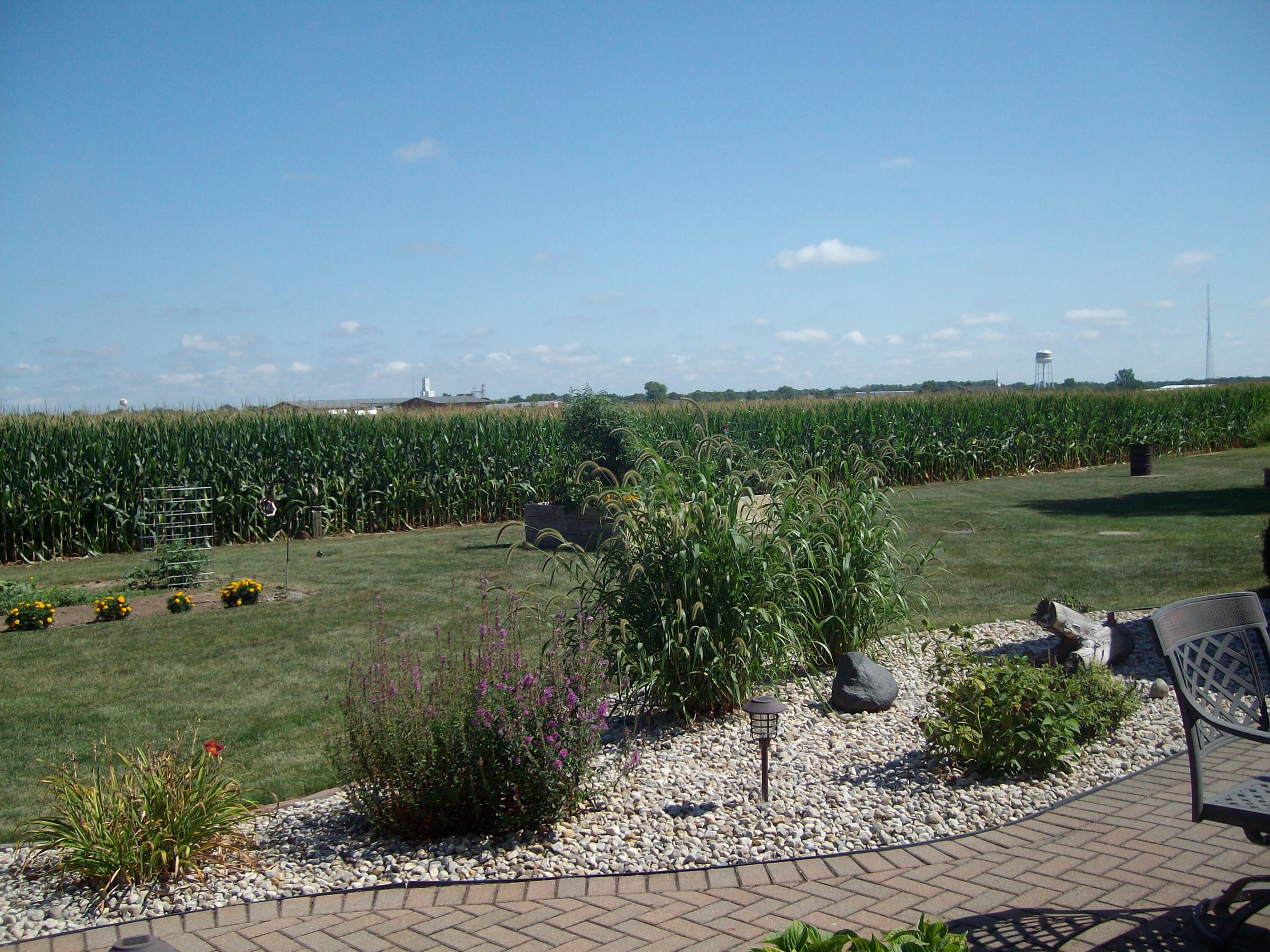3789 Wilson Road Rockford, OH 45882 - Photo 26 of 83 Gallery Image 26