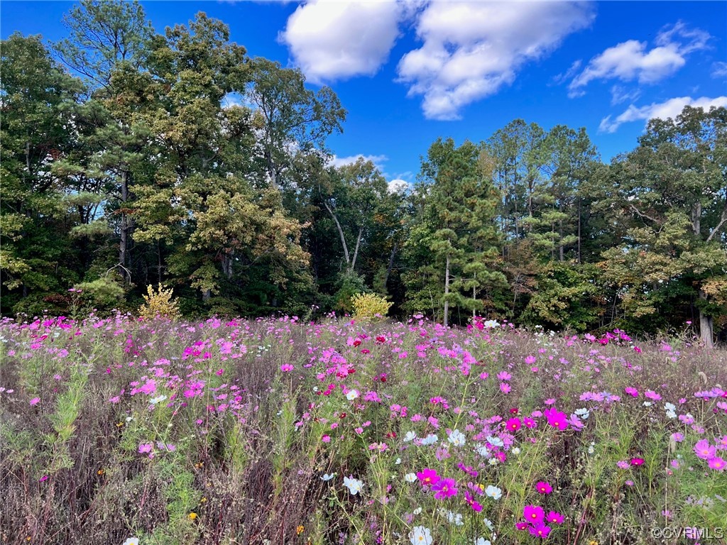 14016 Redhills Road Beaverdam, VA 23015 - Photo 41 of 42 Gallery Image 41