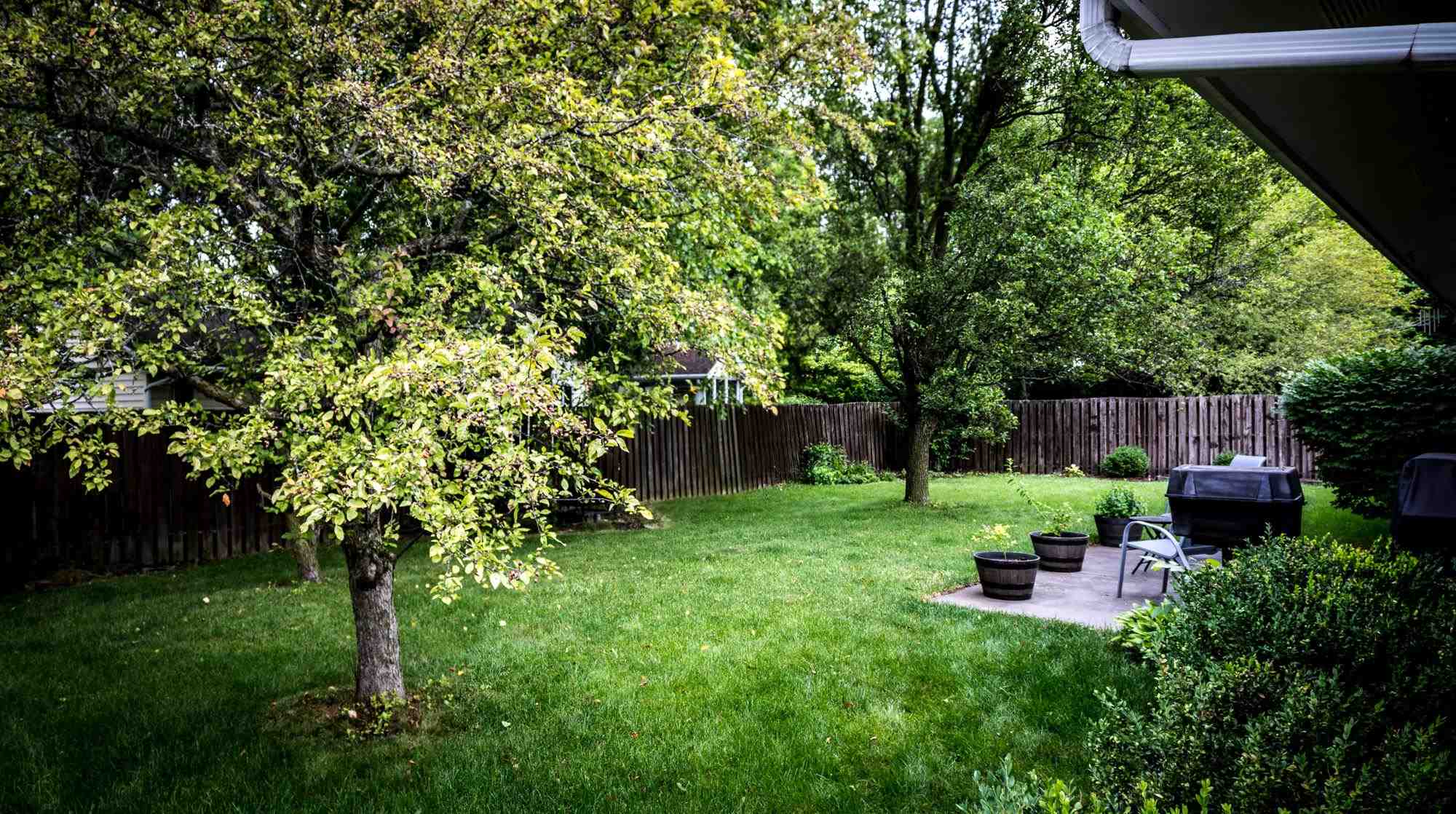 4809 North Everett Road Muncie, IN 47304 - Photo 9 of 29