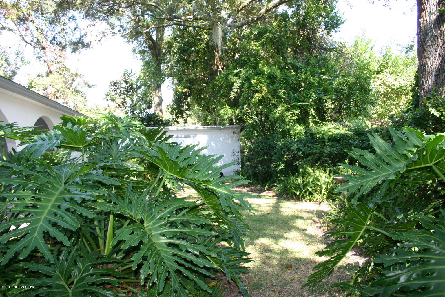 3969 Heidi Road Jacksonville, FL 32277 - Photo 24 of 29 a view of a tree in a garden