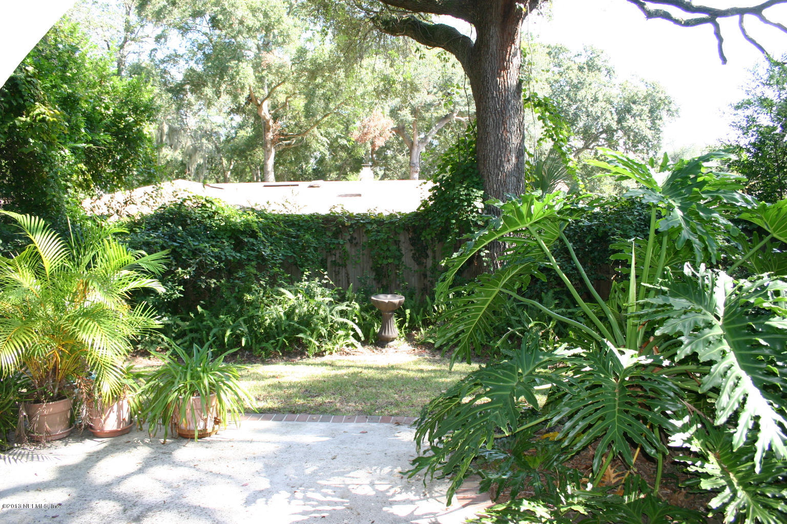3969 Heidi Road Jacksonville, FL 32277 - Photo 10 of 29 a view of yard with large trees