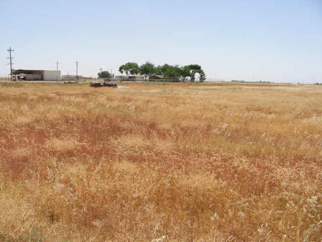 0 North Clemans Road, Unit 1E Coolidge, AZ 85128 - Photo 1 of 5 Primary Photo