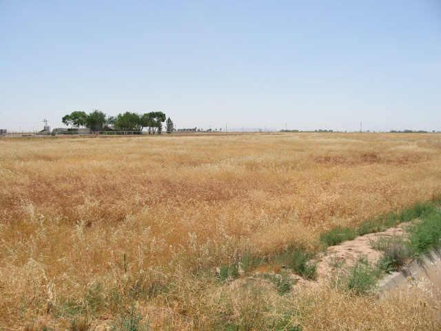 0 North Clemans Road, Unit 1E Coolidge, AZ 85128 - Photo 2 of 5 Additional Photo