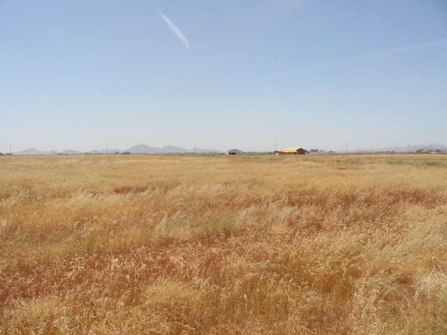 0 North Clemans Road, Unit 1E Coolidge, AZ 85128 - Photo 3 of 5 Additional Photo