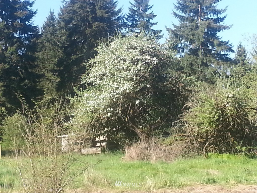 32903 Locke Road Roy, WA 98580 - Photo 5 of 8 Gallery Image 5