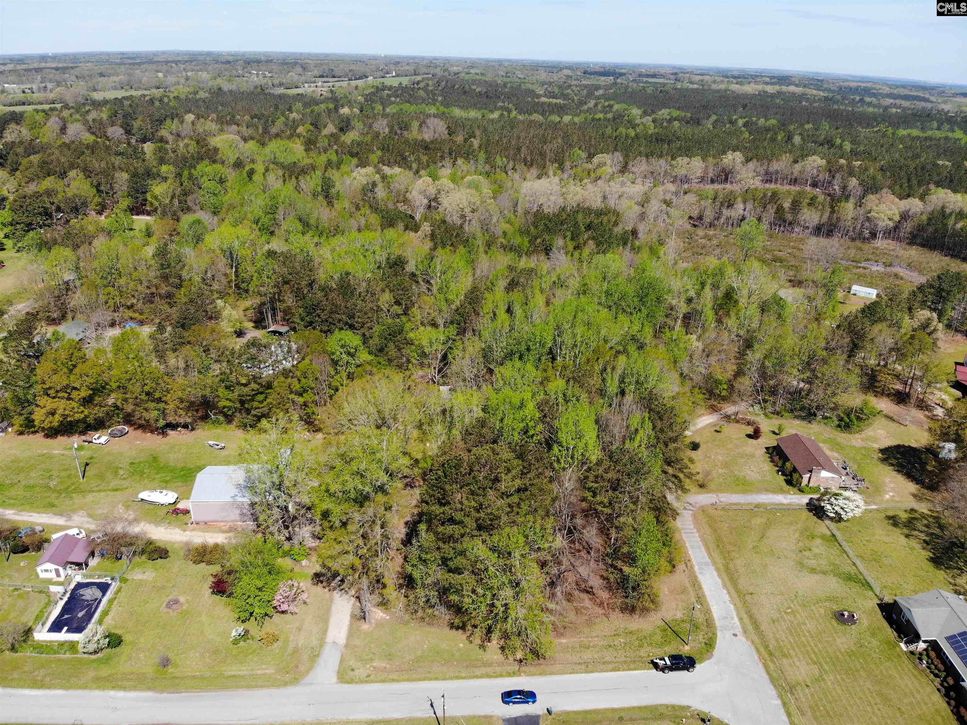 Tbd James Road Joanna, SC 29351 - Photo 38 of 82