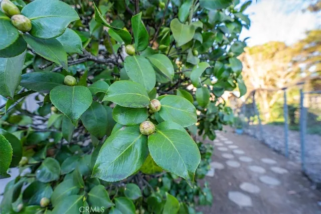 $345,000 | 79 Damon Avenue, Red Bluff, CA 96080