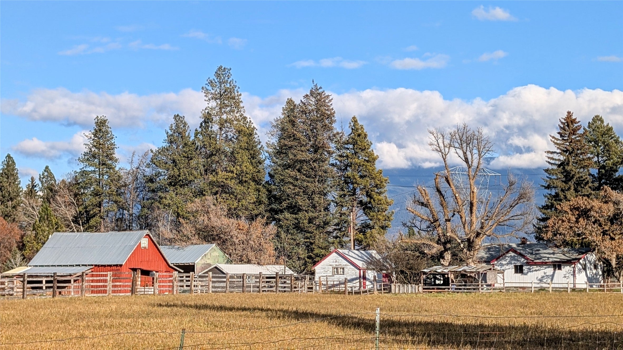 1184 Trumble Creek Road Kalispell, MT 59901 - Photo 1 of 1 For Sale: 1965 Farm on 50-Acres
