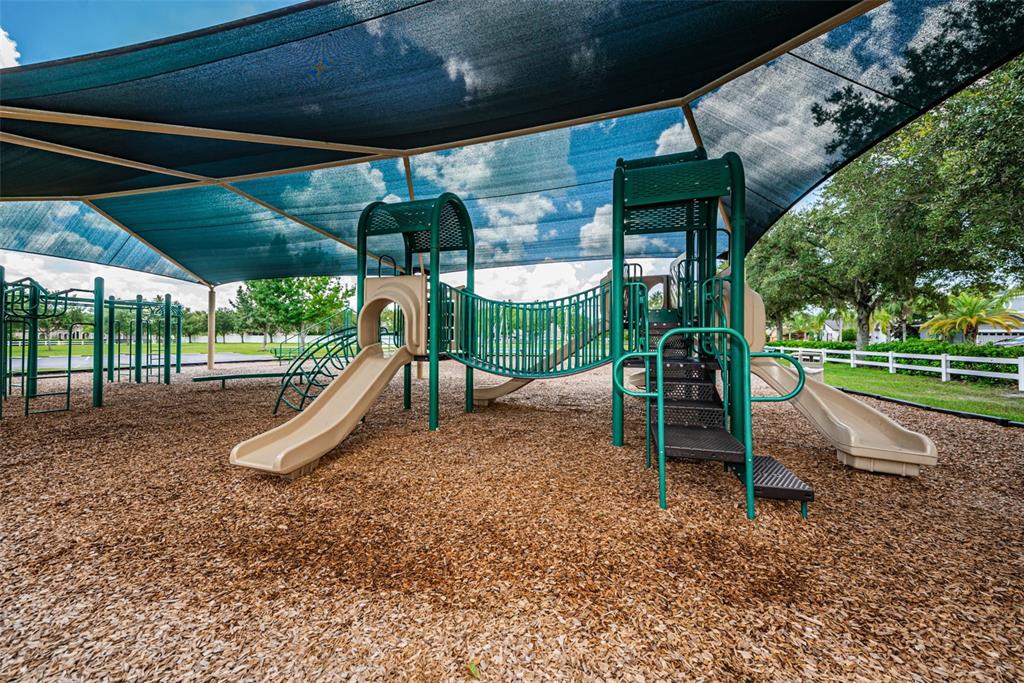16207 Rambling Road Odessa, FL 33556 - Photo 66 of 76