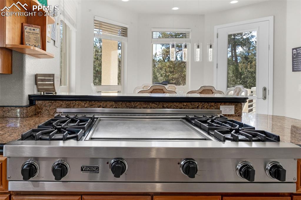 17502 Abert Ridge View Colorado Springs, CO 80908 - Photo 11 of 50