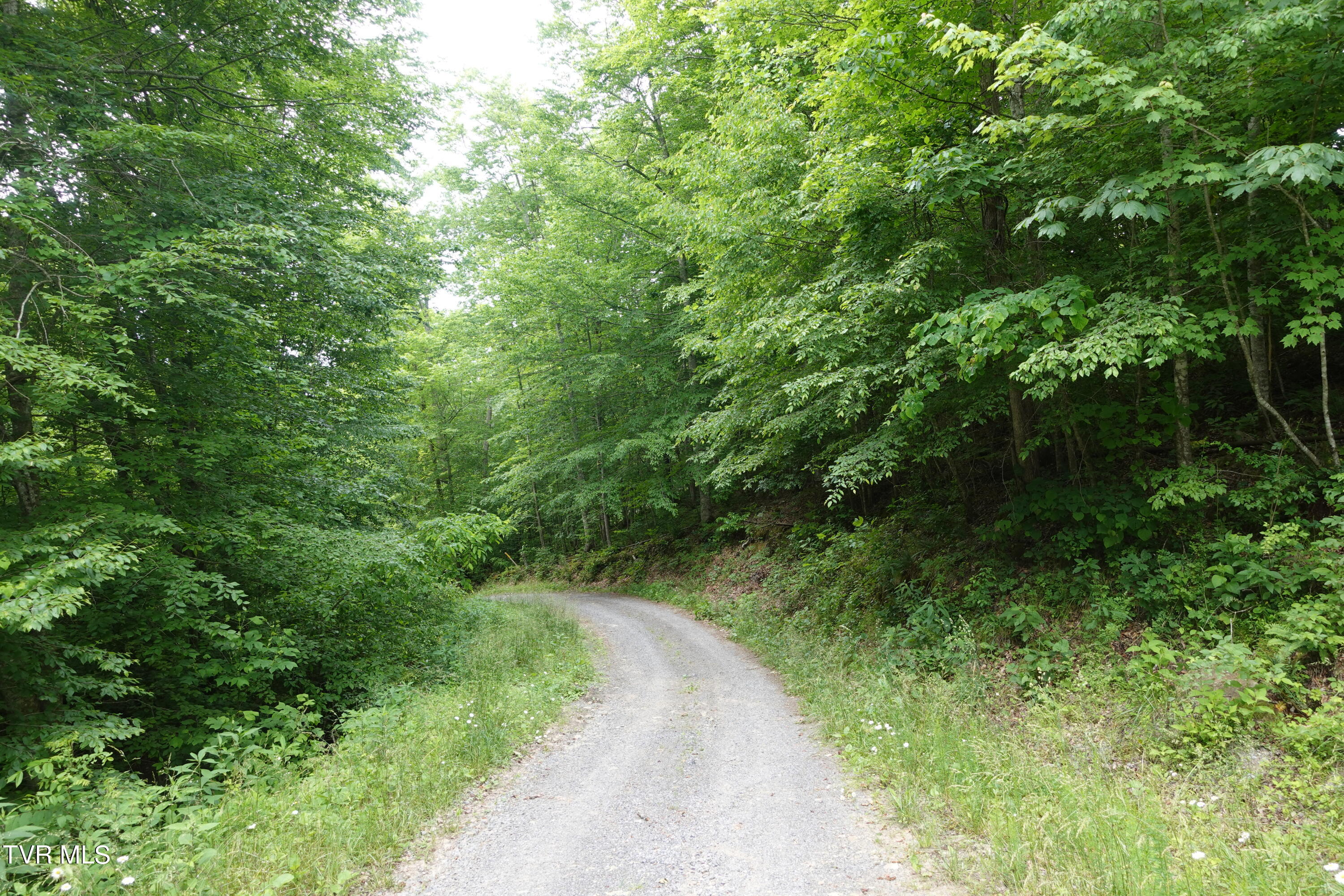 639 Dream Farm Road Birchleaf, VA 24220 - Photo 144 of 153 DSC00378