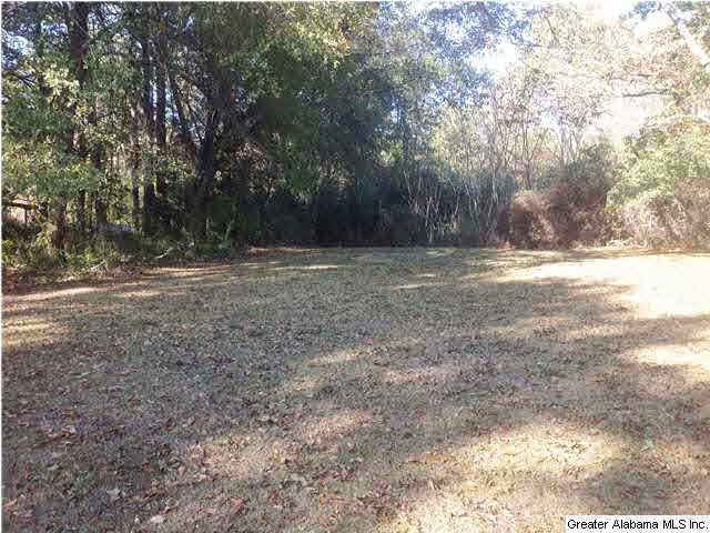 5399 Hollis Goodwin Road Dora, AL 35062 - Photo 11 of 13