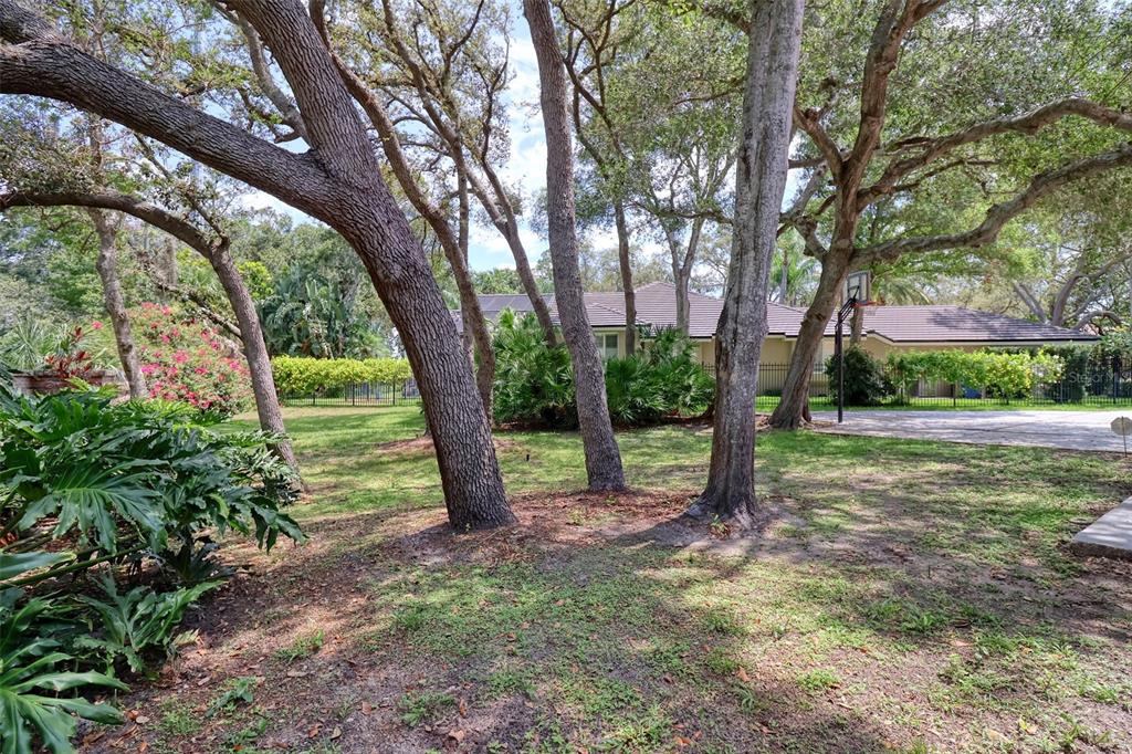 2771 Camden Road Clearwater, FL 33759 - Photo 56 of 70