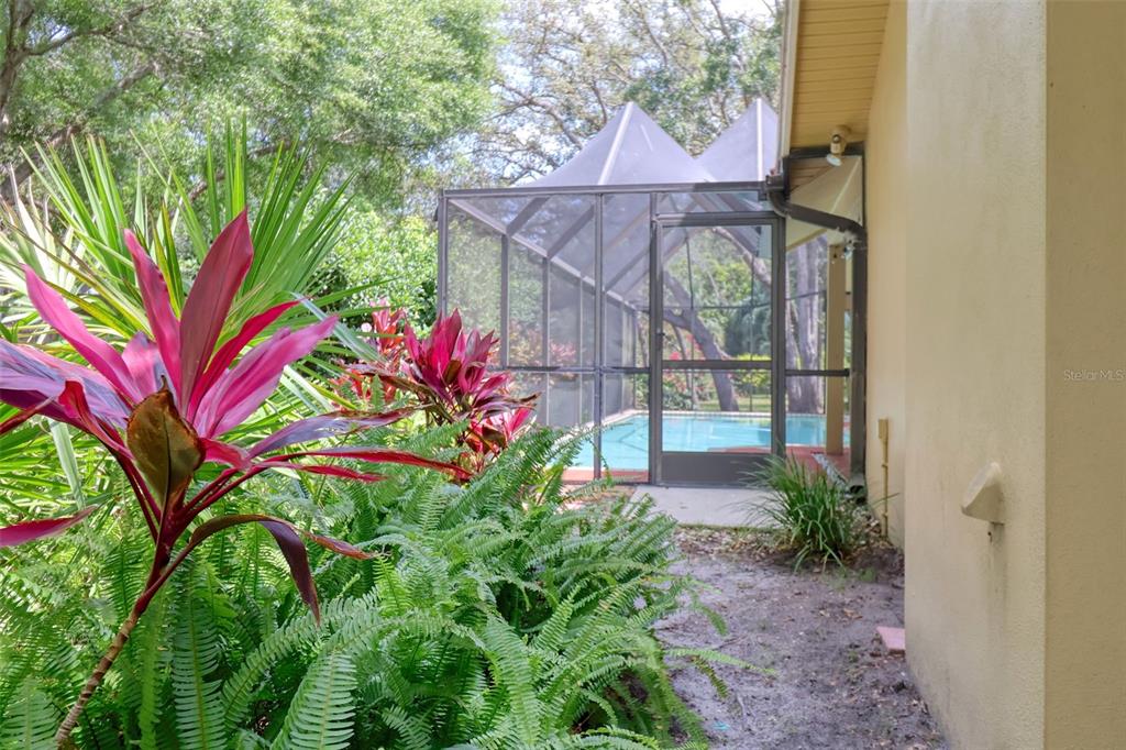 2771 Camden Road Clearwater, FL 33759 - Photo 62 of 70