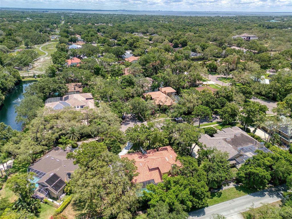 2771 Camden Road Clearwater, FL 33759 - Photo 67 of 70