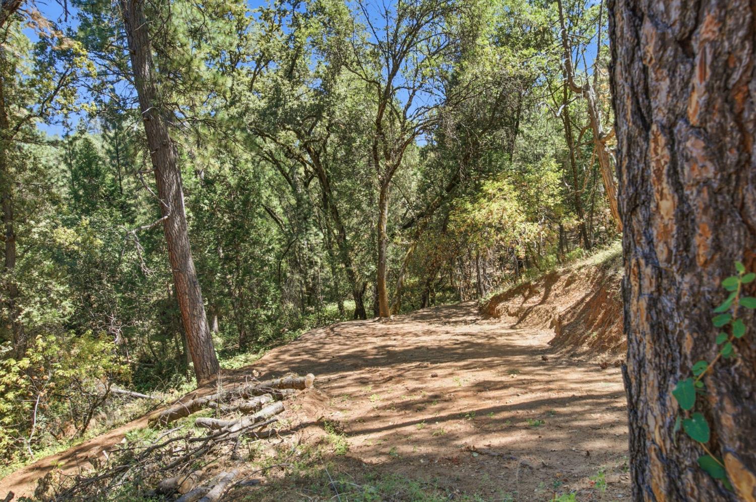 0 Sly Park Road Placerville, CA 95667 - Photo 22 of 27 Gallery Image 22