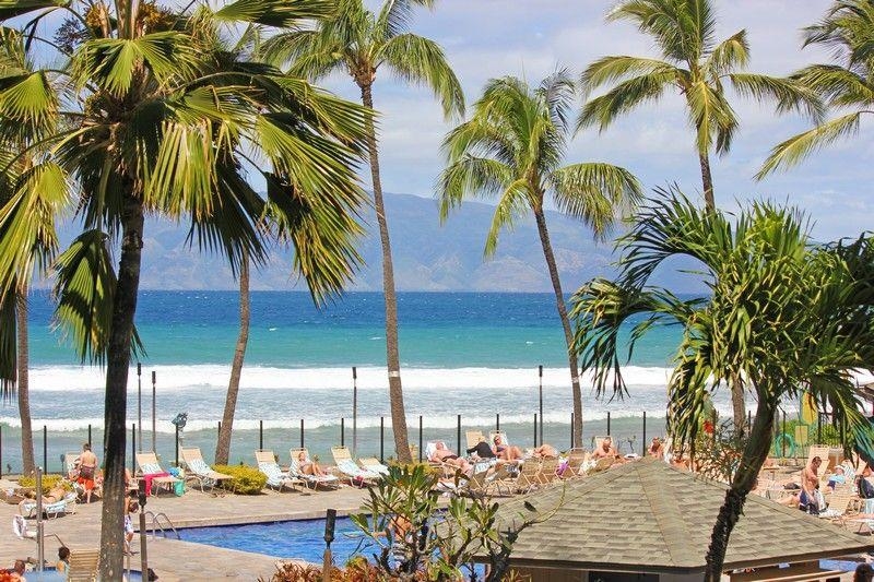 3445 Lower Honoapiilani Road, Unit 255 Lahaina, HI 96761 - Photo 2 of 35 a view of outdoor space with palm trees