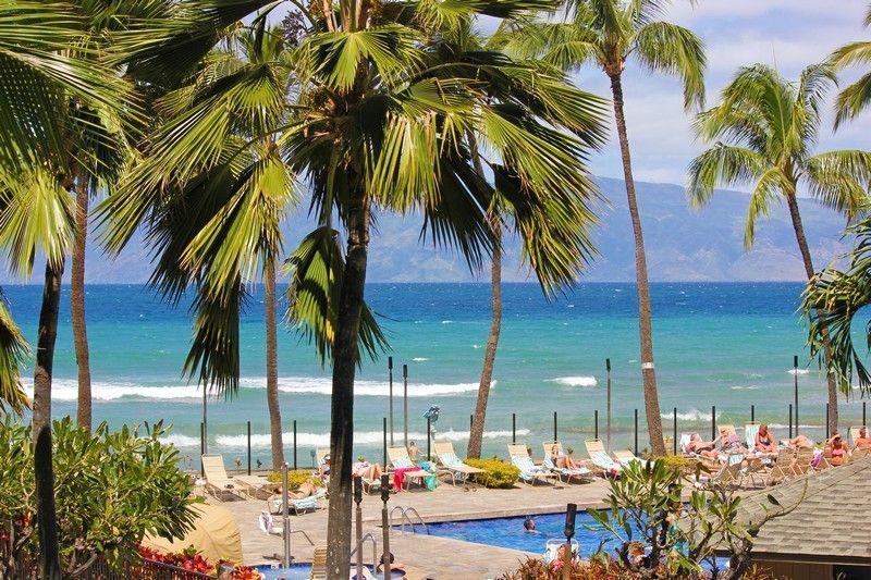 3445 Lower Honoapiilani Road, Unit 255 Lahaina, HI 96761 - Photo 7 of 35 a view of outdoor space with palm trees