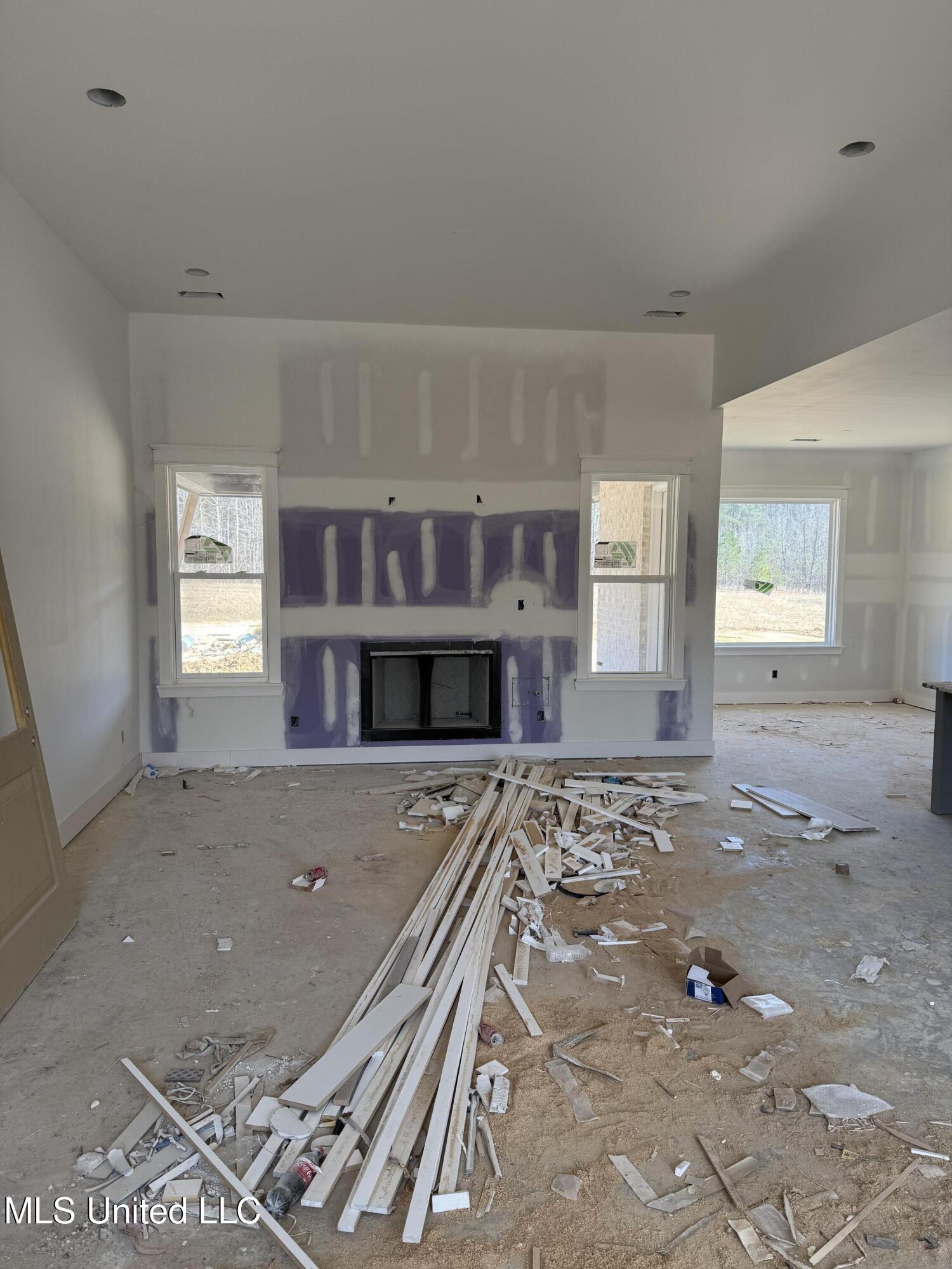 5064 Sophia Lane Hernando, MS 38632 - Photo 6 of 9 IMG_0973