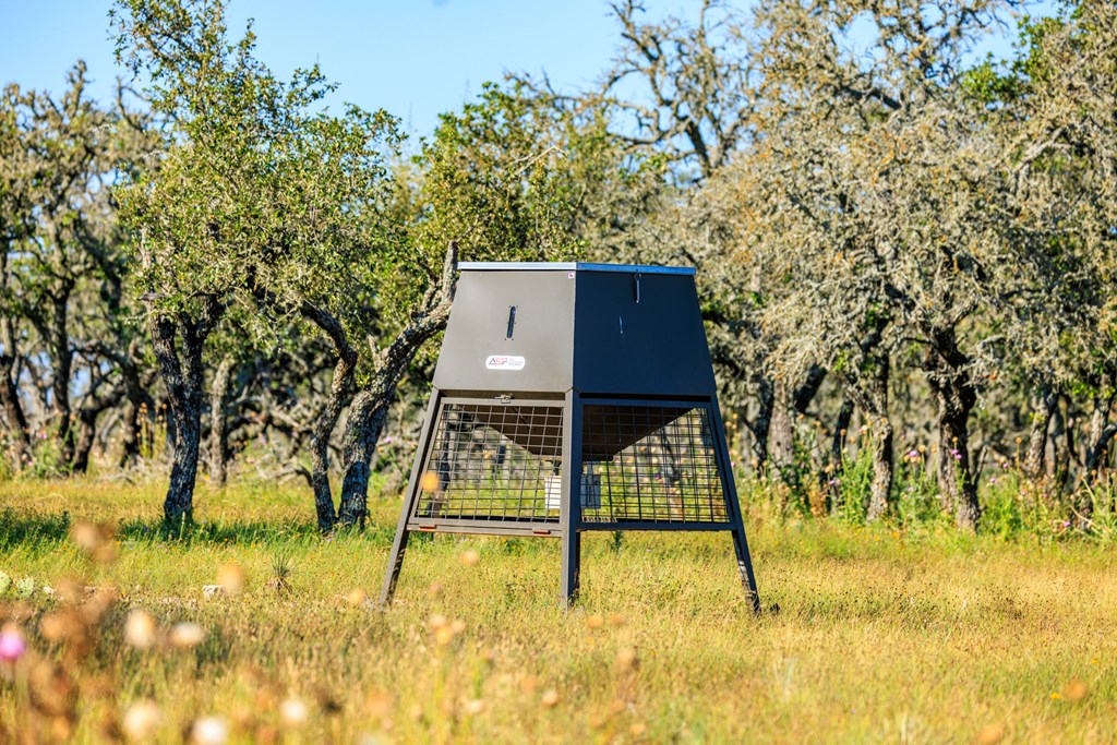 783 North Ranch Road 783 Harper, TX 78631 - Photo 14 of 30