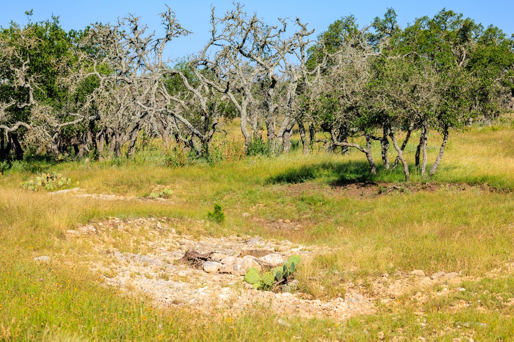 783 North Ranch Road 783 Harper, TX 78631 - Photo 16 of 30