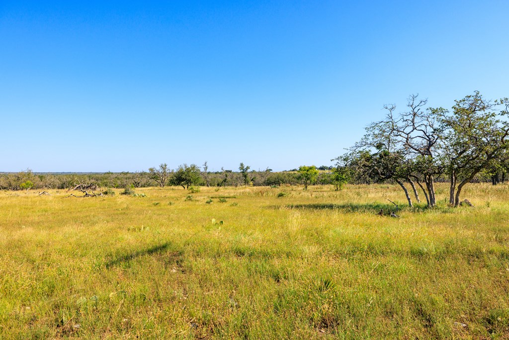 783 North Ranch Road 783 Harper, TX 78631 - Photo 19 of 30