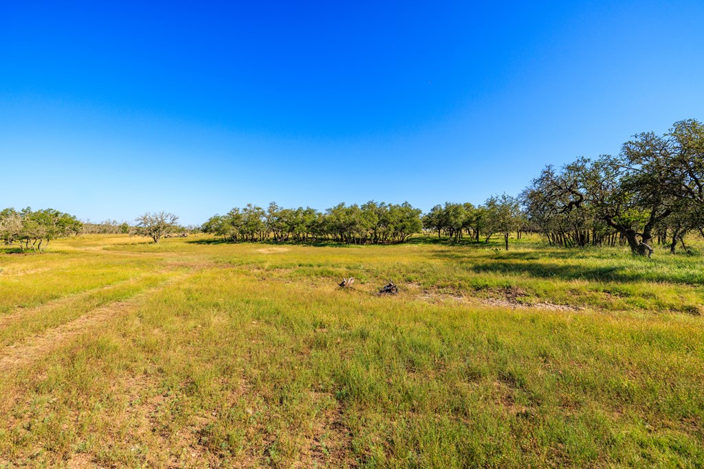 783 North Ranch Road 783 Harper, TX 78631 - Photo 20 of 30