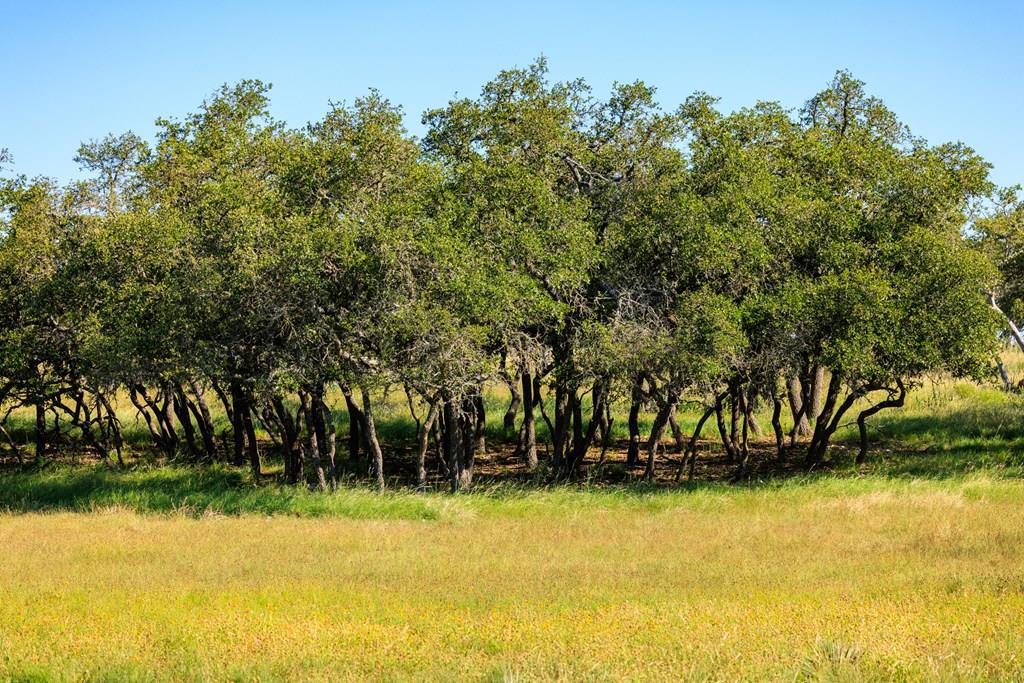 783 North Ranch Road 783 Harper, TX 78631 - Photo 2 of 30