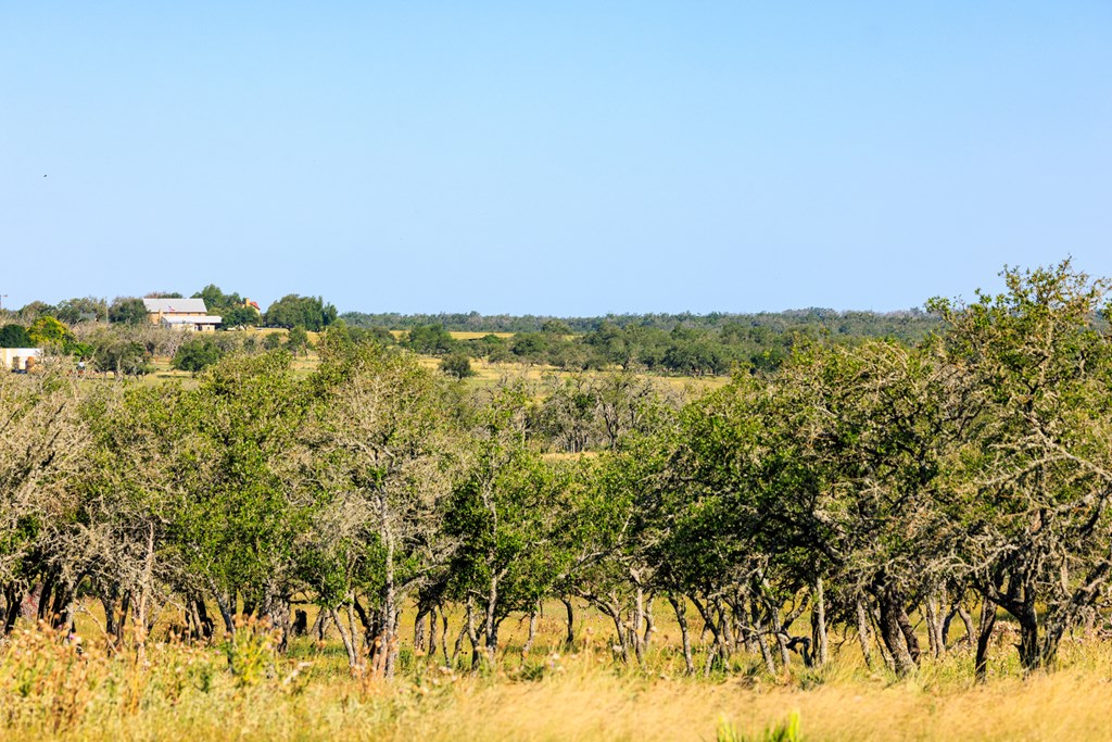 783 North Ranch Road 783 Harper, TX 78631 - Photo 21 of 30