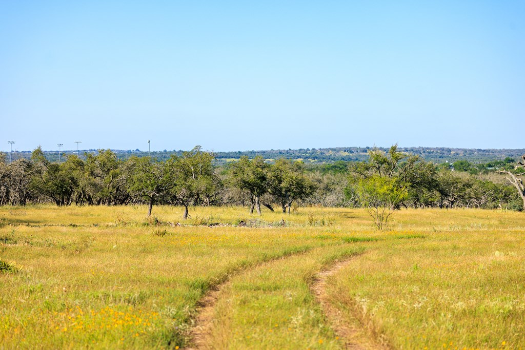 783 North Ranch Road 783 Harper, TX 78631 - Photo 24 of 30