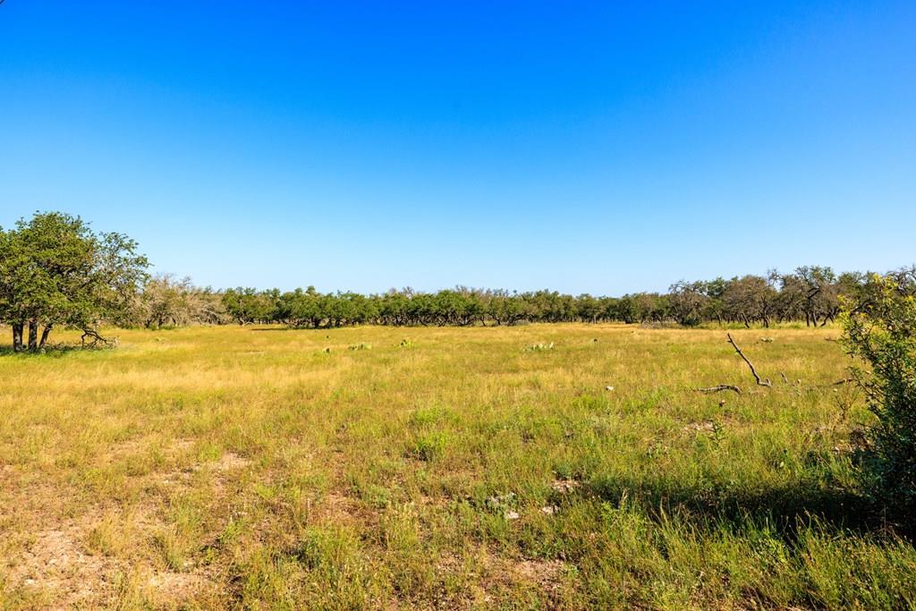 783 North Ranch Road 783 Harper, TX 78631 - Photo 3 of 30