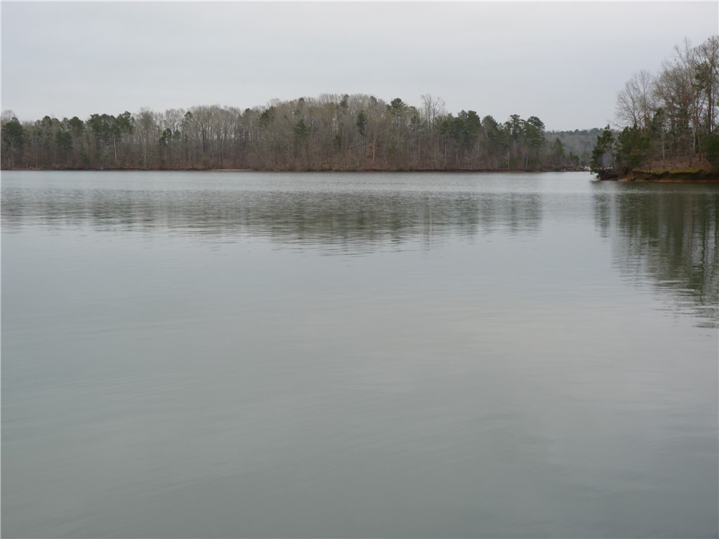222 Riverlake Road Fair Play, SC 29643 - Photo 19 of 24 Gallery Image 19
