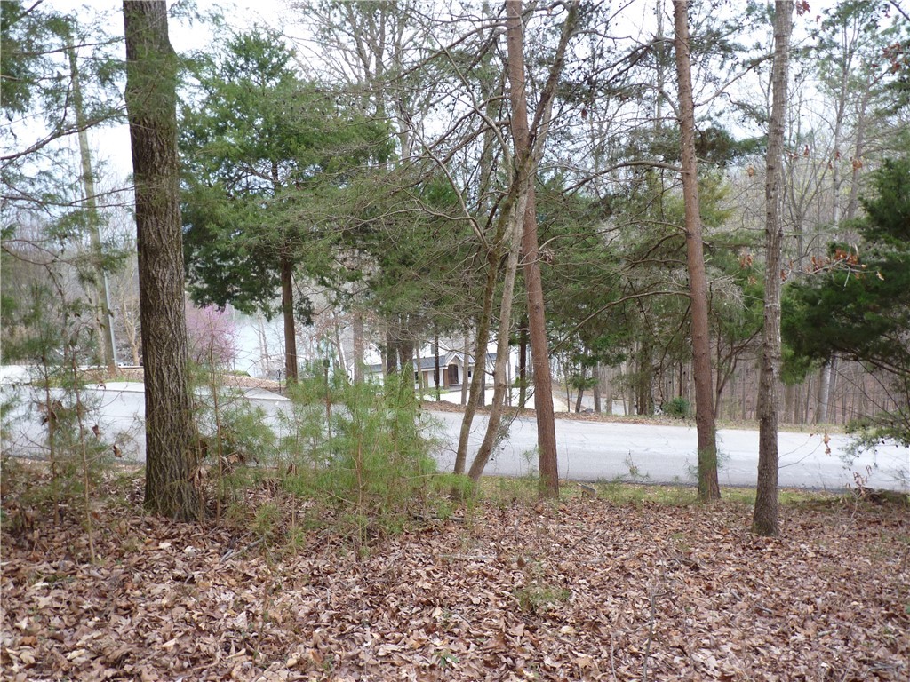 222 Riverlake Road Fair Play, SC 29643 - Photo 8 of 24 Gallery Image 8