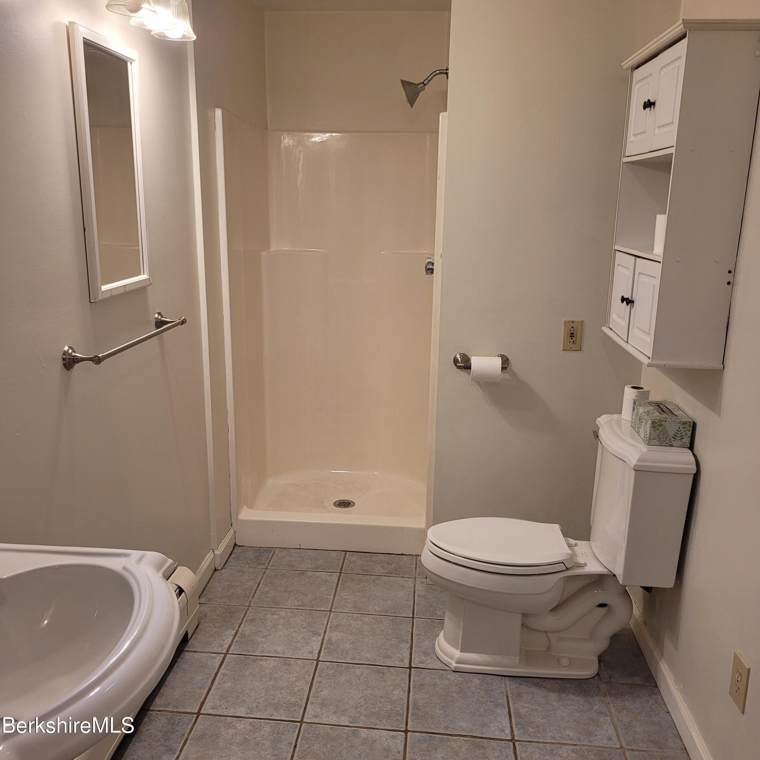4 Olson Road Florida, MA 01247 - Photo 11 of 29 a bathroom with a toilet and a shower