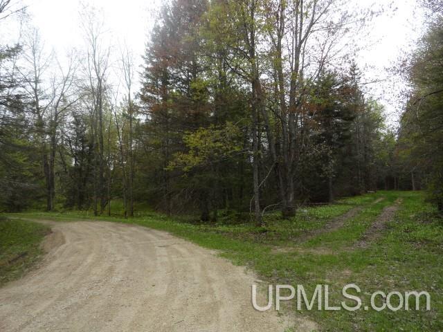 Tbd Tbd Sipila Road Eben Junction, MI 49825 - Photo 2 of 7