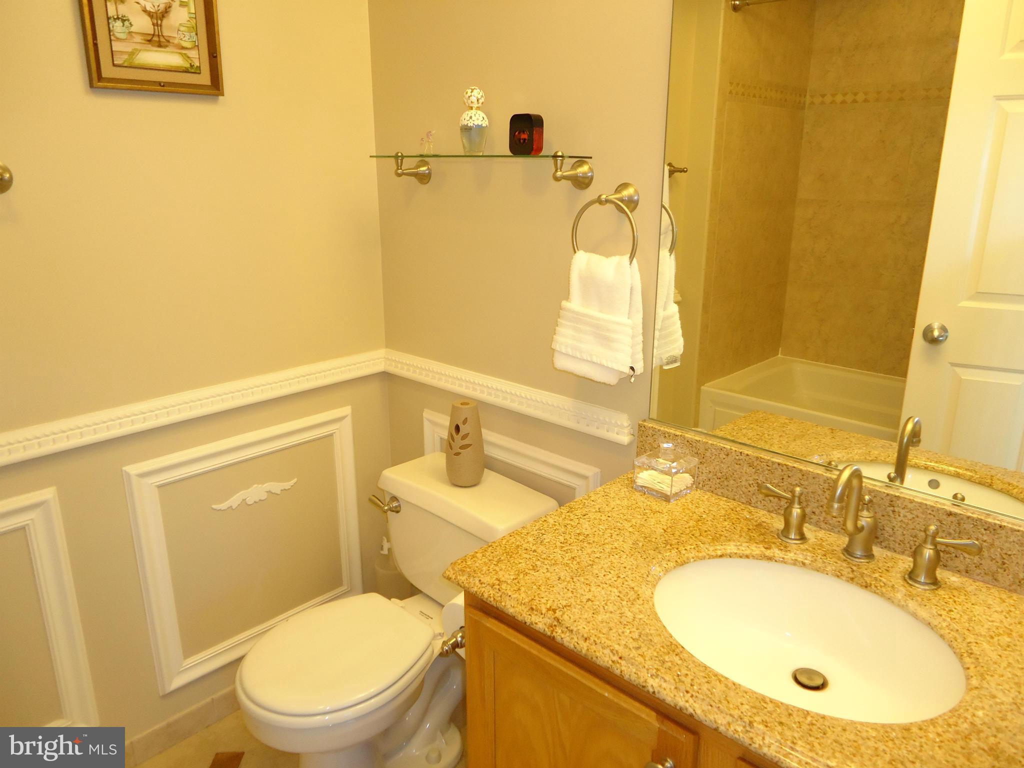 10109 Ridge Manor Terrace, Unit 4000K Damascus, MD 20872 - Photo 17 of 23 Bath (Master)