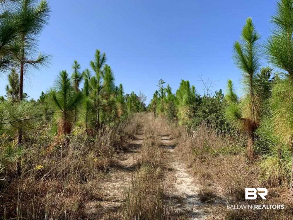 0 Three 3 Rivers Road Seminole, AL 36574 - Photo 22 of 27
