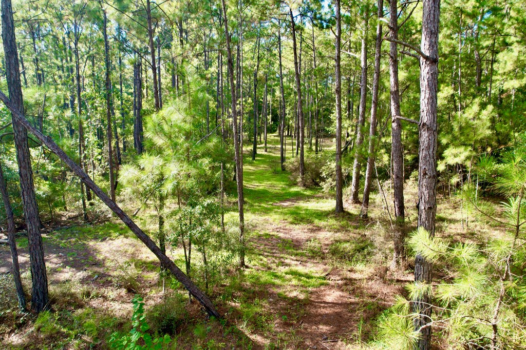 350 Hooper Cherry Road Dothan, AL 36301 - Photo 20 of 29