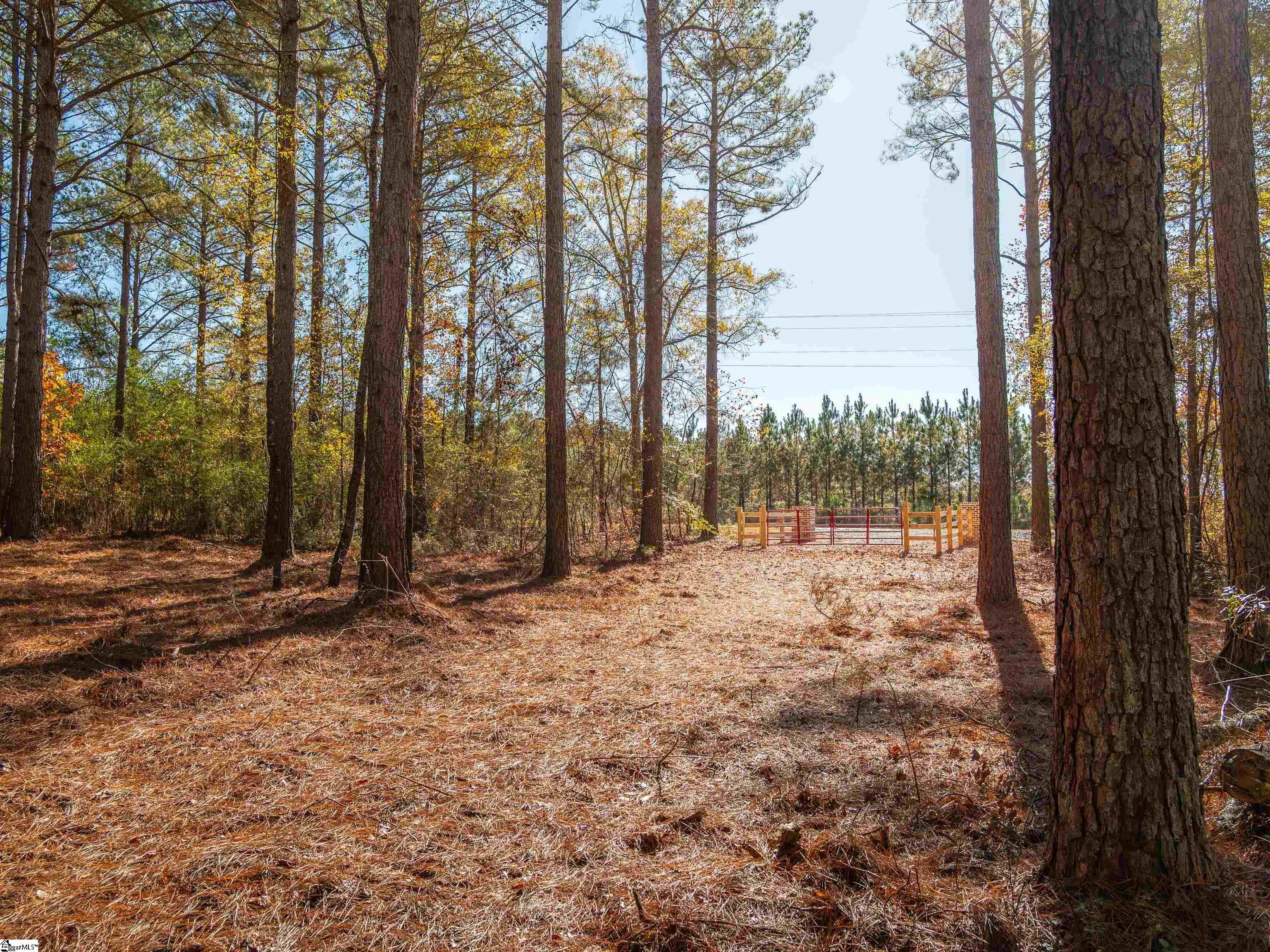 4 Mill Pine Road Liberty, SC 29657 - Photo 17 of 34