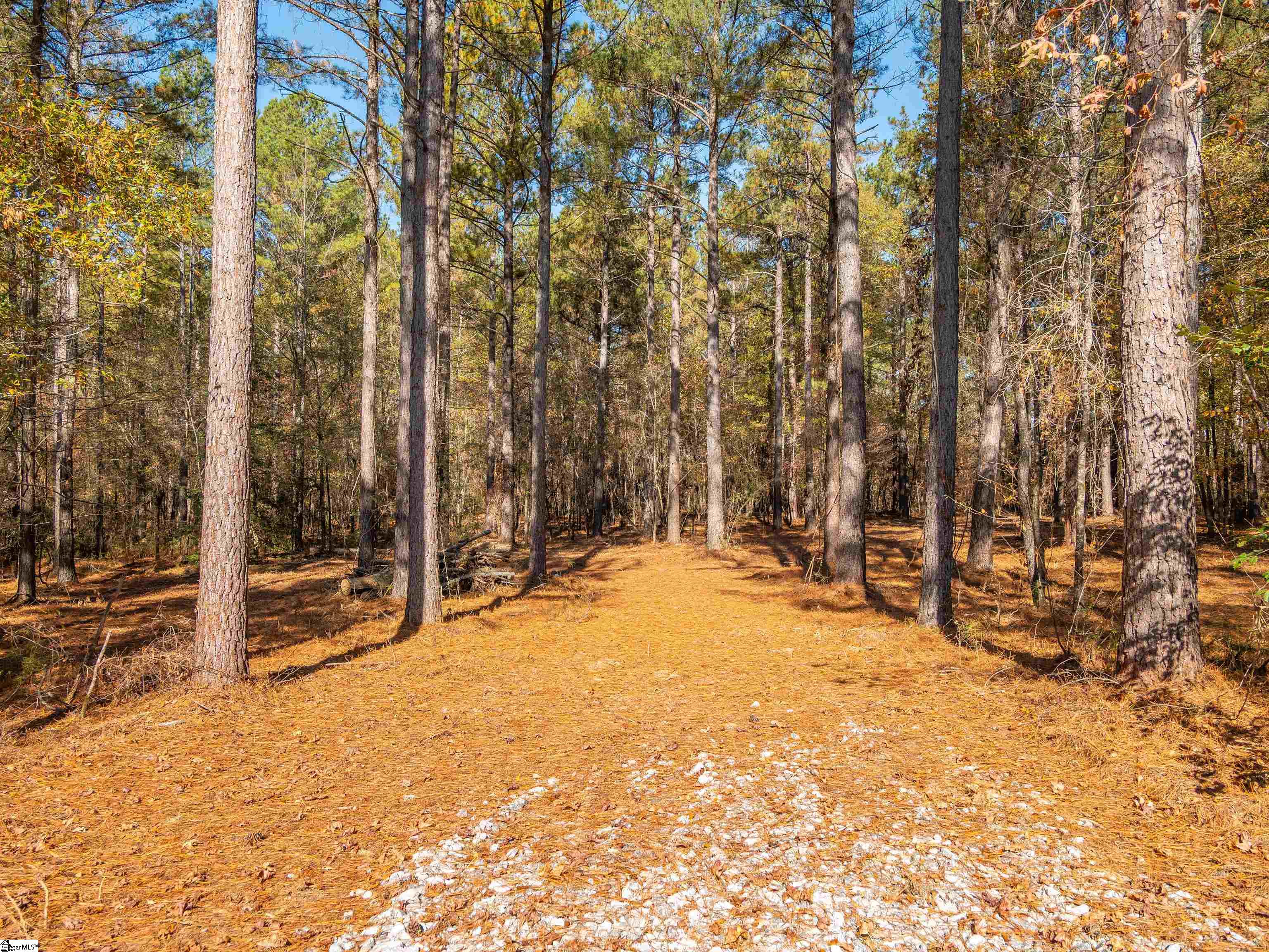 4 Mill Pine Road Liberty, SC 29657 - Photo 18 of 34