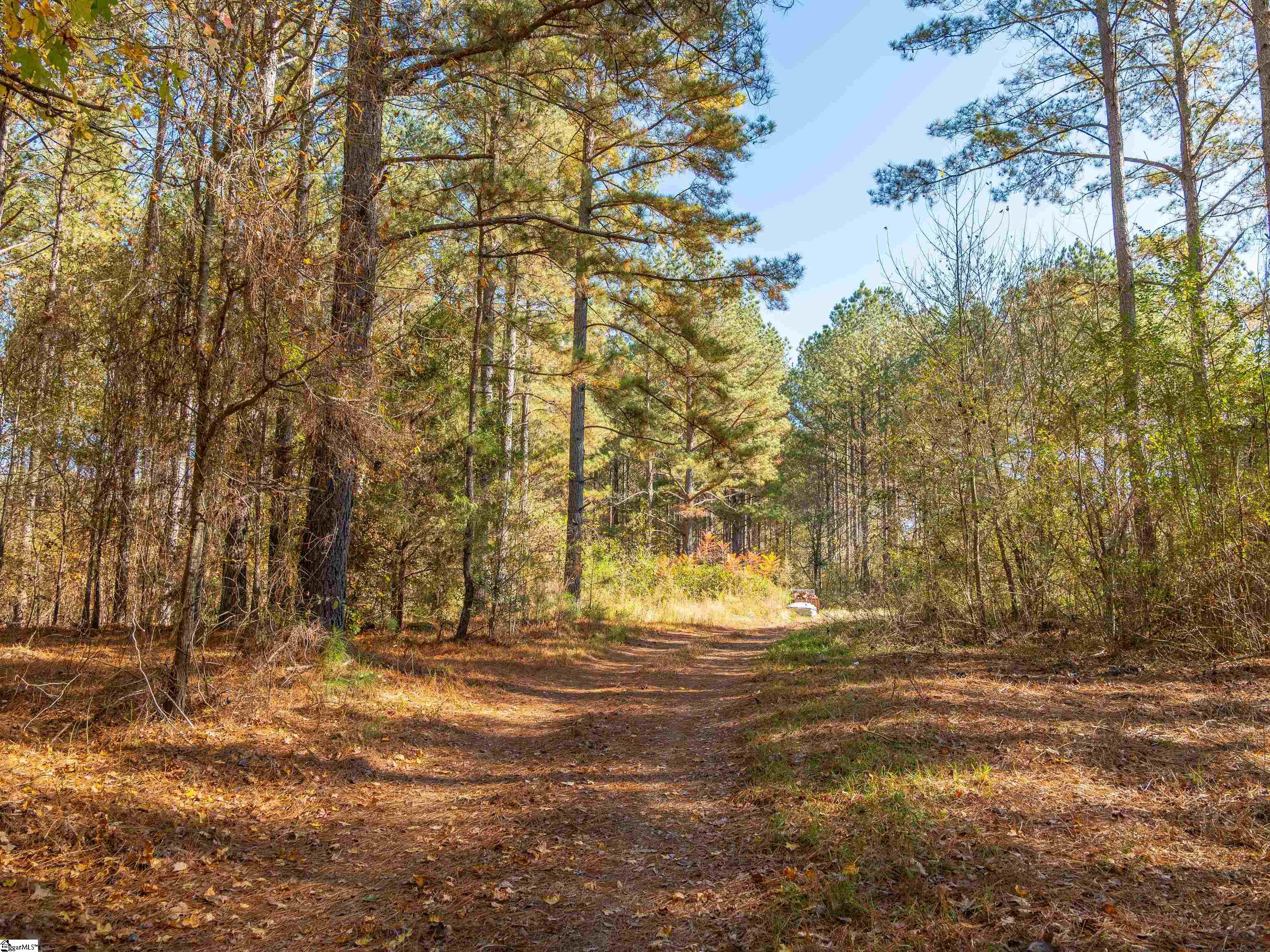 4 Mill Pine Road Liberty, SC 29657 - Photo 19 of 34