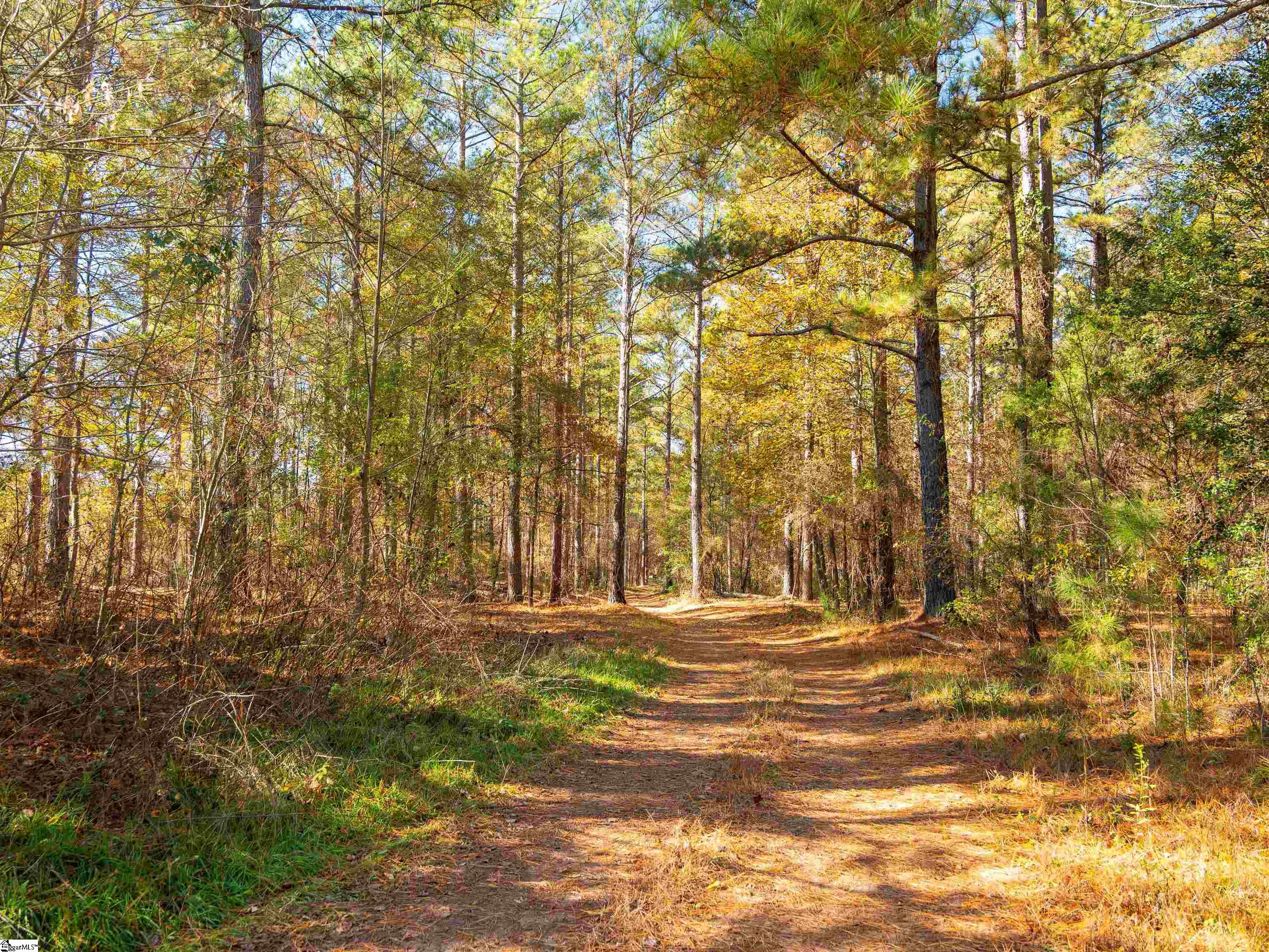 4 Mill Pine Road Liberty, SC 29657 - Photo 23 of 34