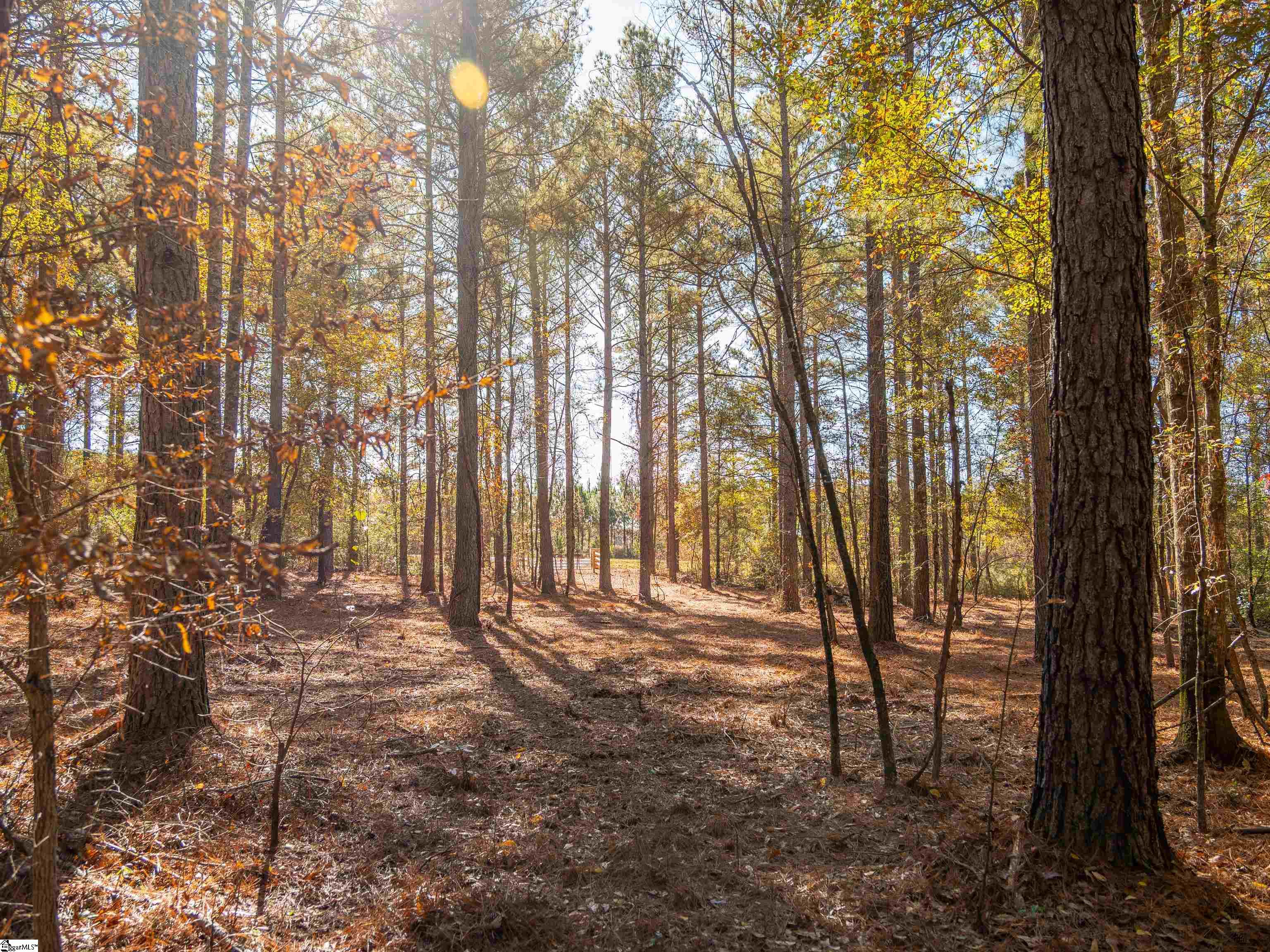4 Mill Pine Road Liberty, SC 29657 - Photo 27 of 34