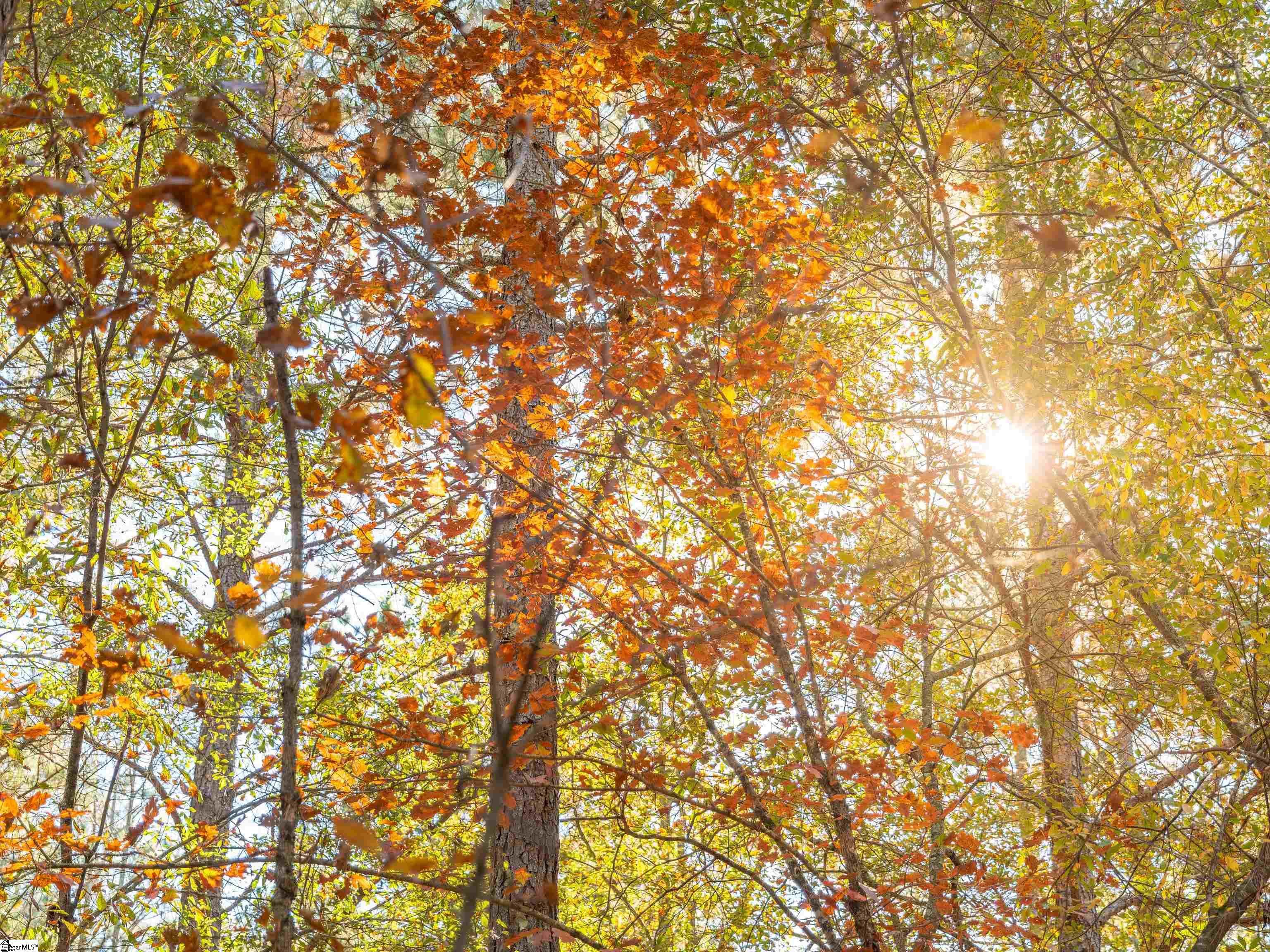 4 Mill Pine Road Liberty, SC 29657 - Photo 28 of 34