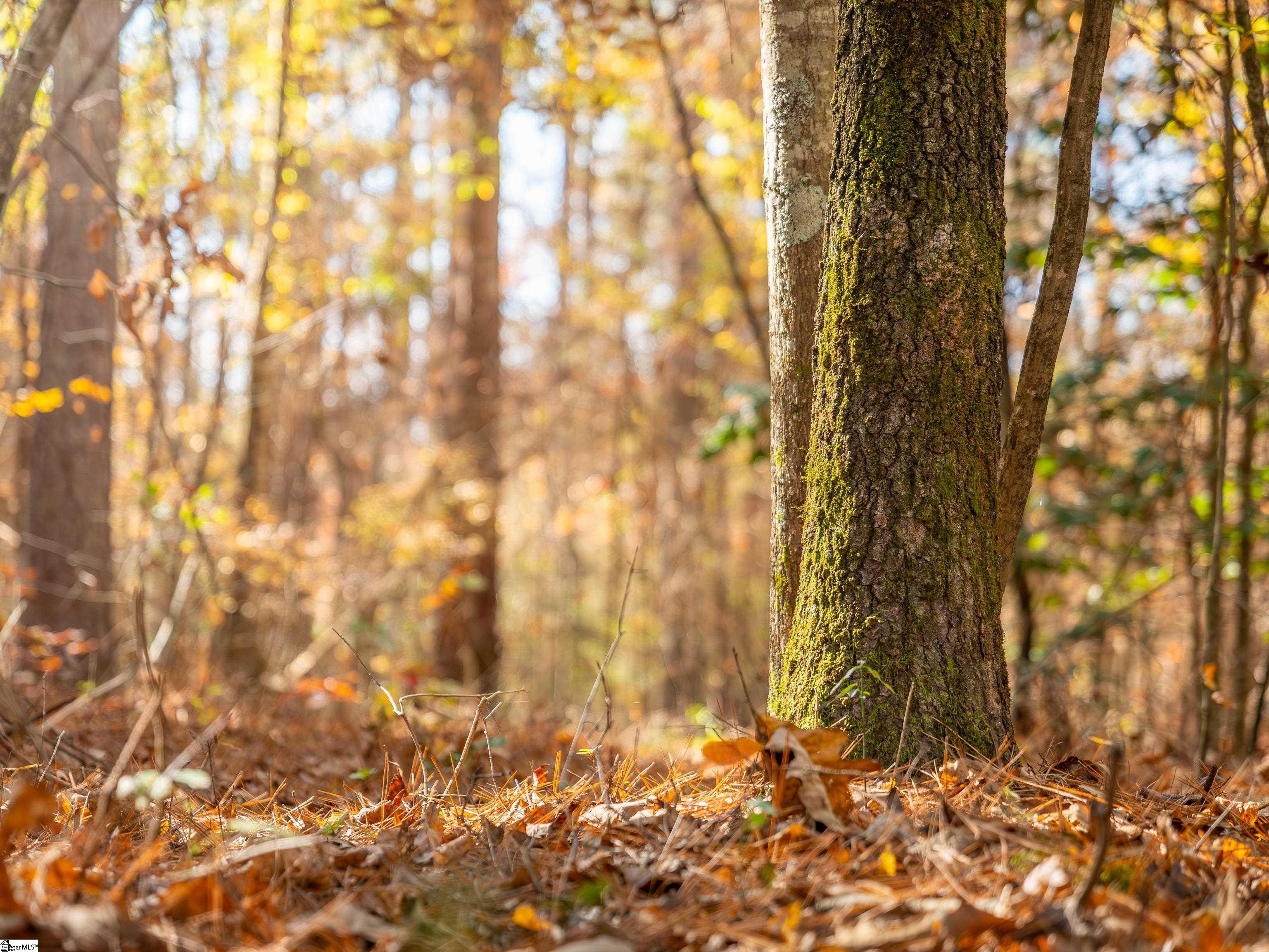 4 Mill Pine Road Liberty, SC 29657 - Photo 29 of 34