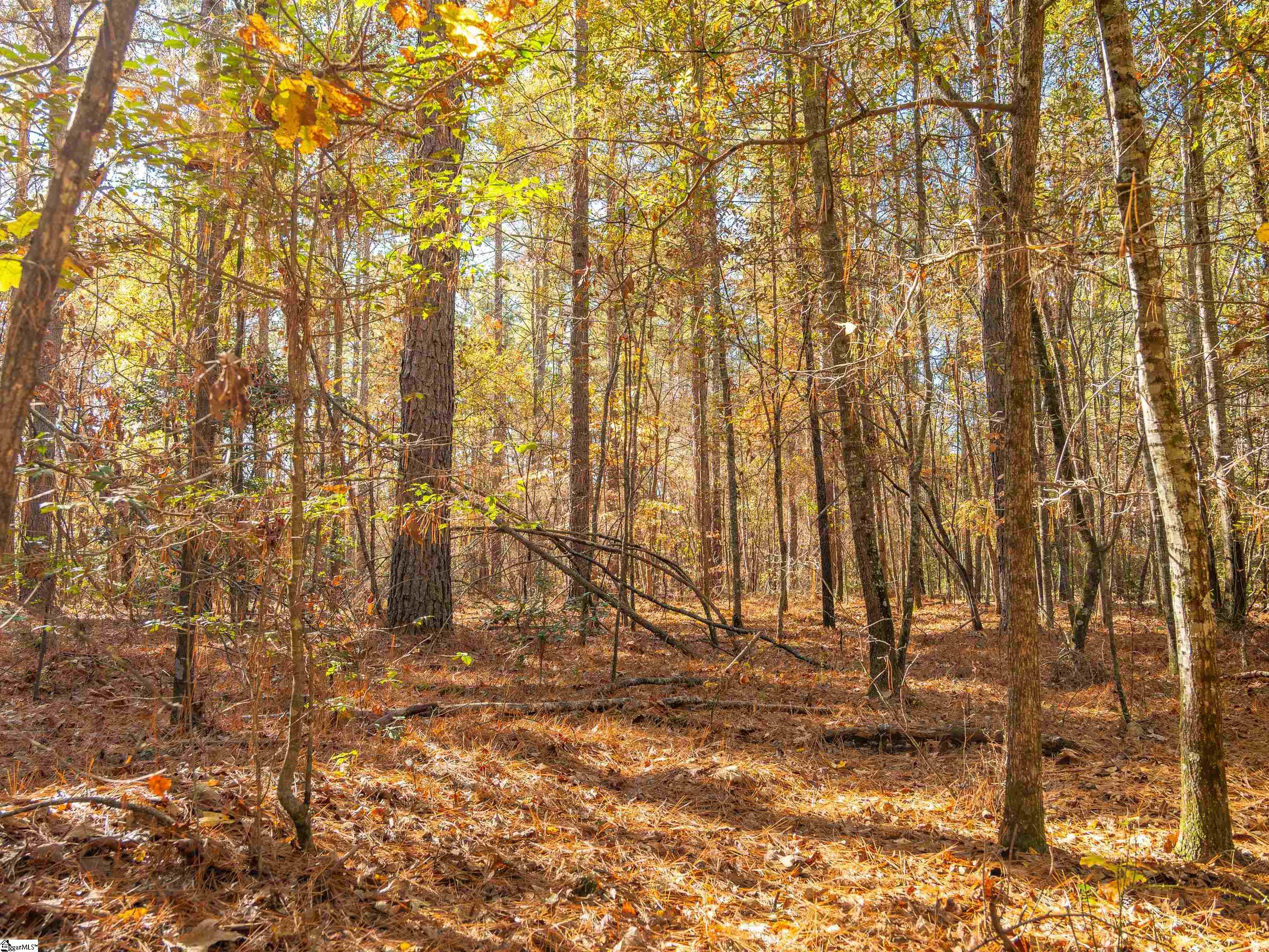 4 Mill Pine Road Liberty, SC 29657 - Photo 30 of 34