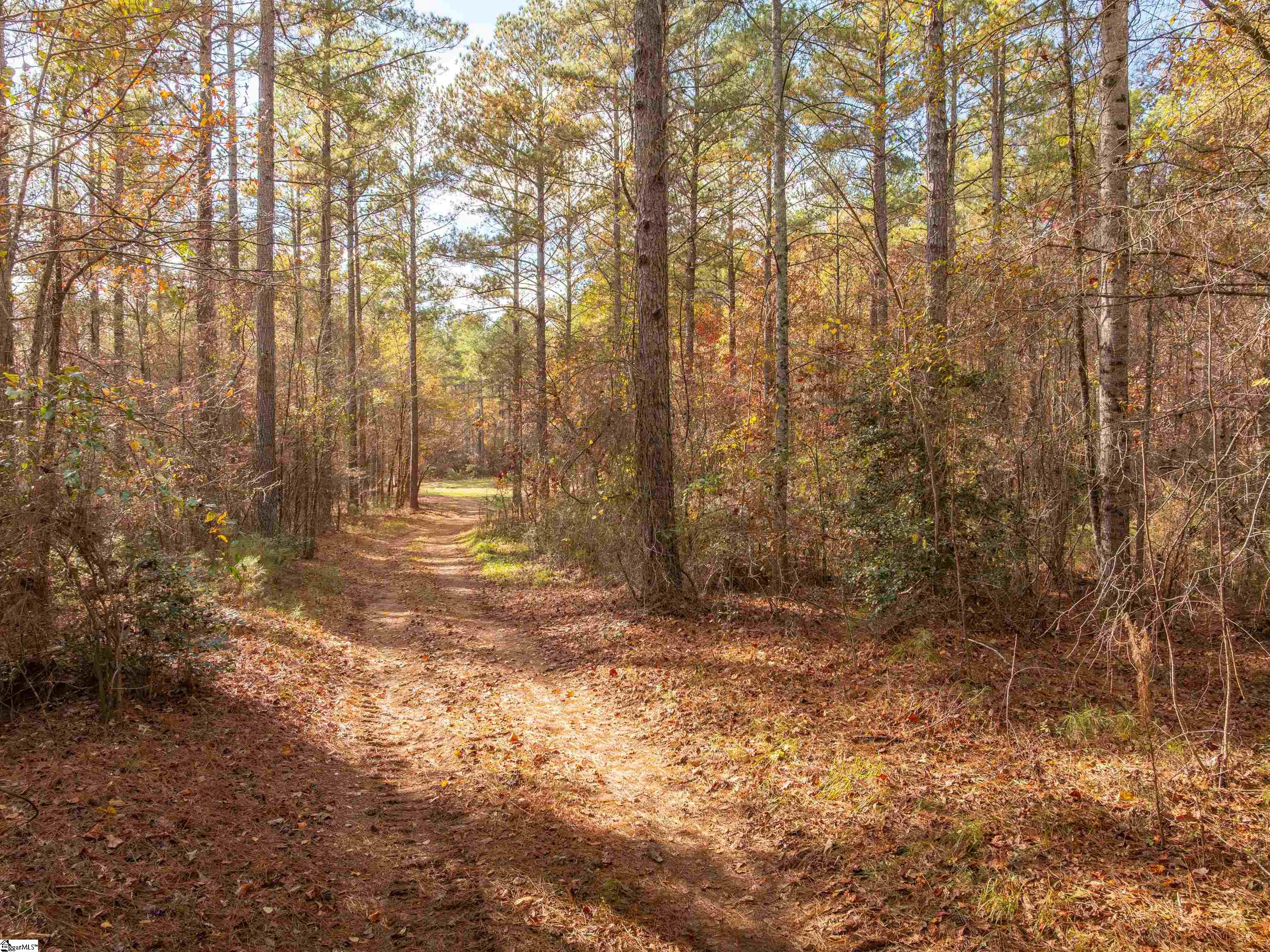 4 Mill Pine Road Liberty, SC 29657 - Photo 33 of 34